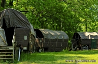 Caravan Wagons